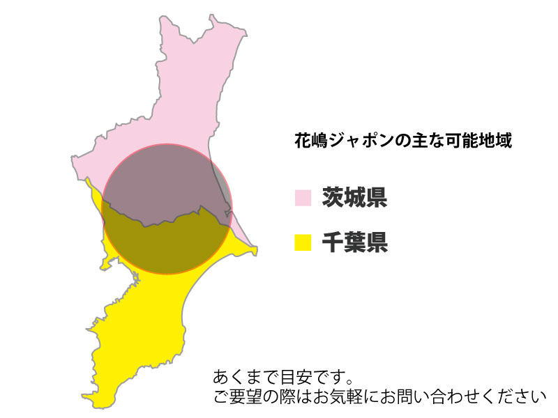 花嶋ジャポン出張可能地域