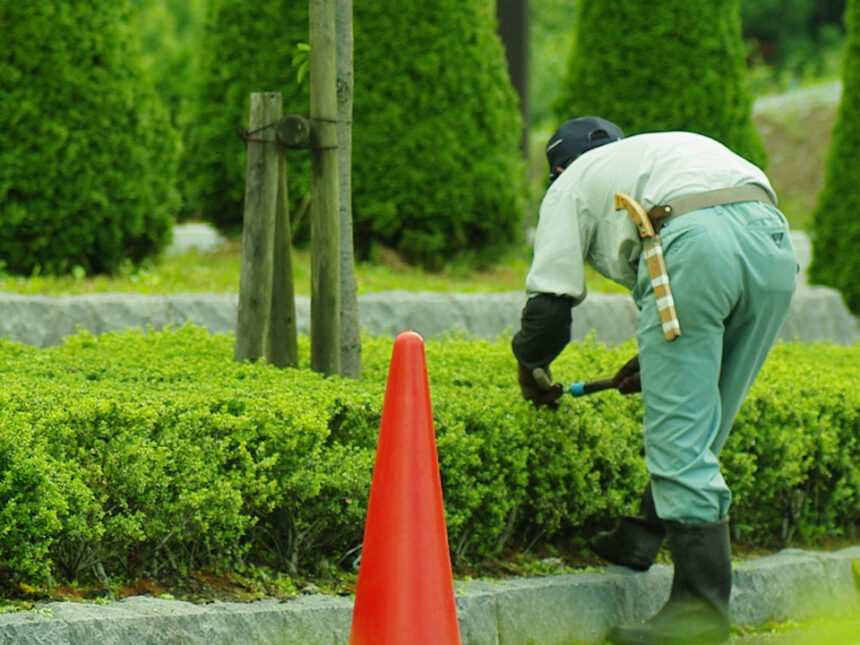 求人テストページ えらぼー